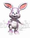 illustration - bunny_thumping_foot_md_wht-gif